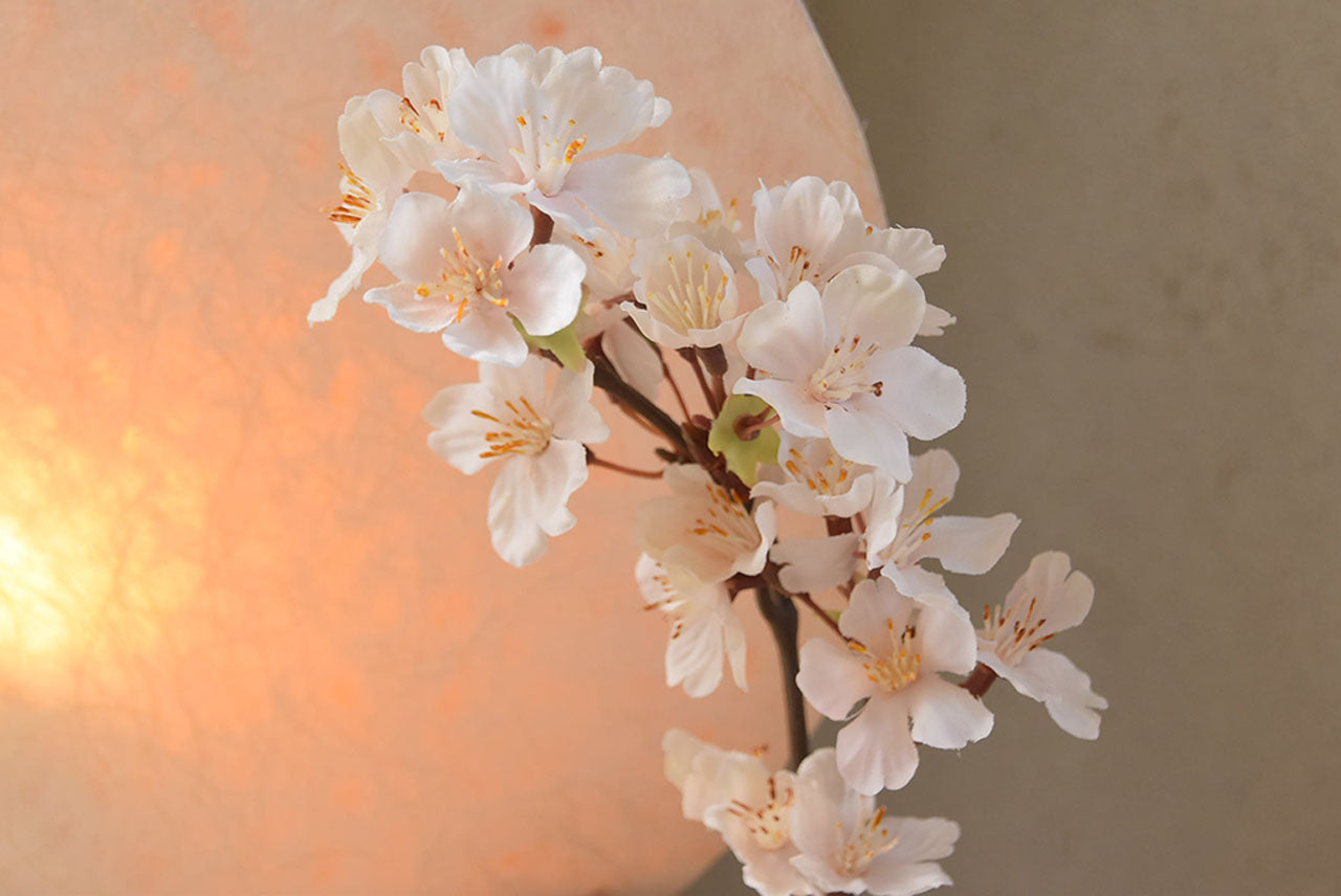 №063368| 月華|コンパクト|古典|